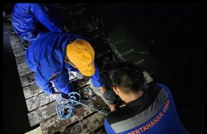Buaya Betina 2.5 Meter Panjang Ditembak Mati di Lahad Datu