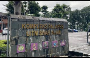 Palapes