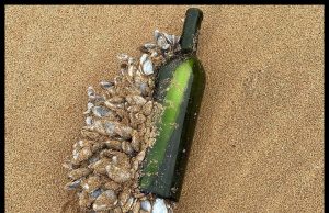 Botol Hanyut Di Laut Ditemui, Berisi Surat Berusia 16 Tahun Lalu