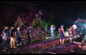 Pokok Tumbang Akibat Angin Kencang, Halang laluan di Jalan Pantai Bak-Bak, Kudat