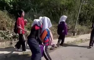 Tujuh Pelajar Ditahan Bantu Siasatan Kes Tular Pukul Pelajar Perempuan