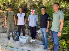 300 Gram Ganja Dirampas di Penampang, Dua Pengedar Ditahan