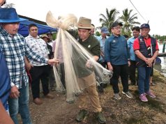 Kerajaan Negeri Suntik 500,000 Benih Udang, Perkasa Industri Akuakultur Beaufort