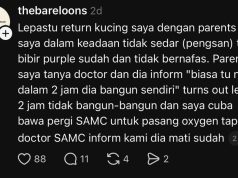 DVS Sabah Siasat Kes Kematian Kucing Lepas Dikembiri di Klinik Veterinar di Kepayan