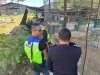 Lelaki Ditahan Simpan Hidupan Liar Tanpa Permit di Penampang