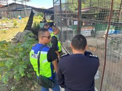 Lelaki Ditahan Simpan Hidupan Liar Tanpa Permit di Penampang